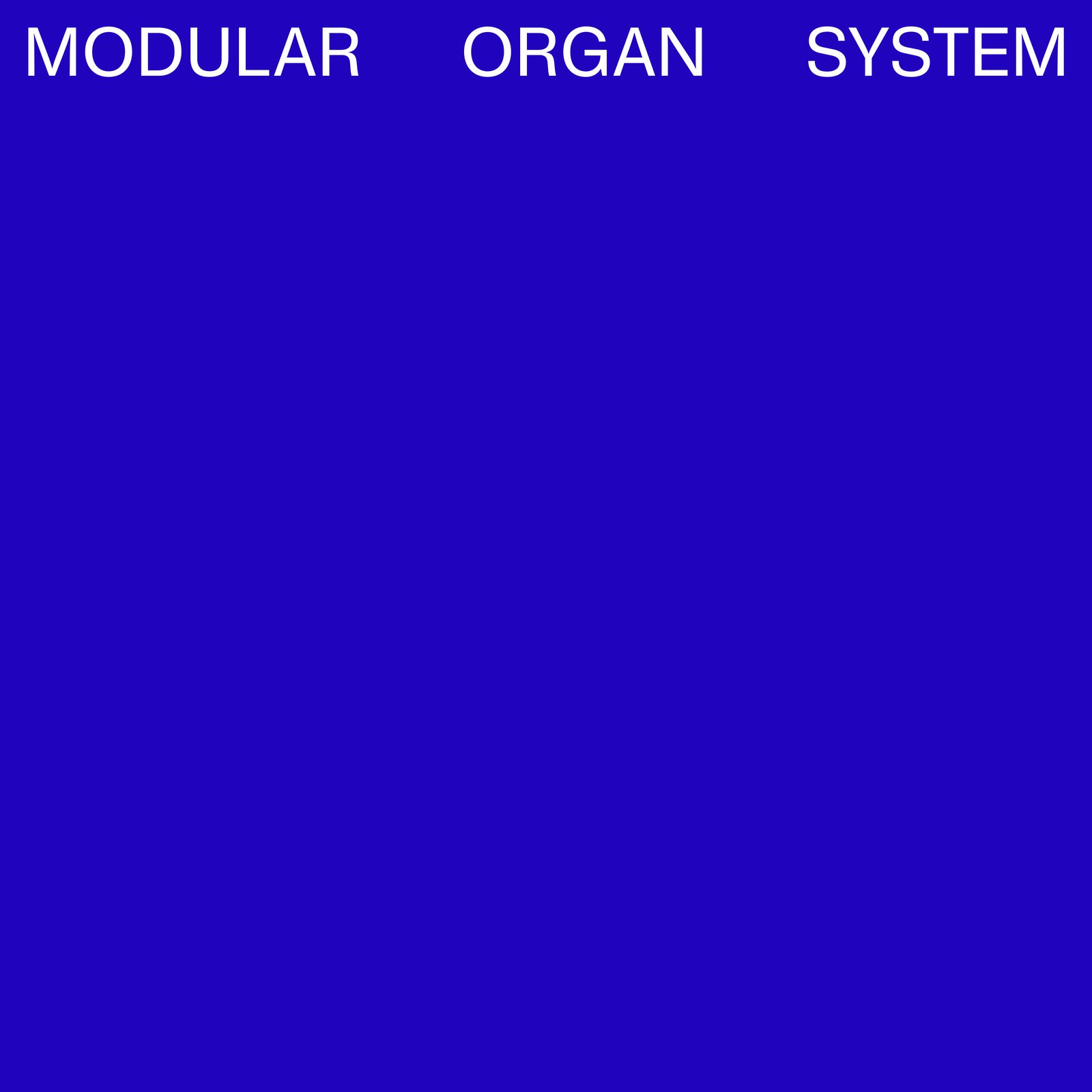 Modular Organ System (12&quot;)Artwork: Dan SolbachChoose Records 2023